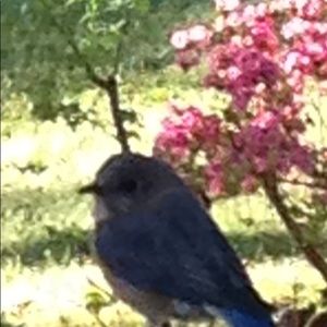 Meet your Posher, Elisabeth